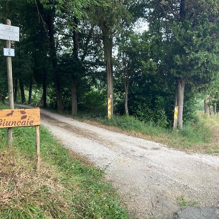 Le Giuncaie - Vigna Con Alloggio Montescudaio Exterior foto
