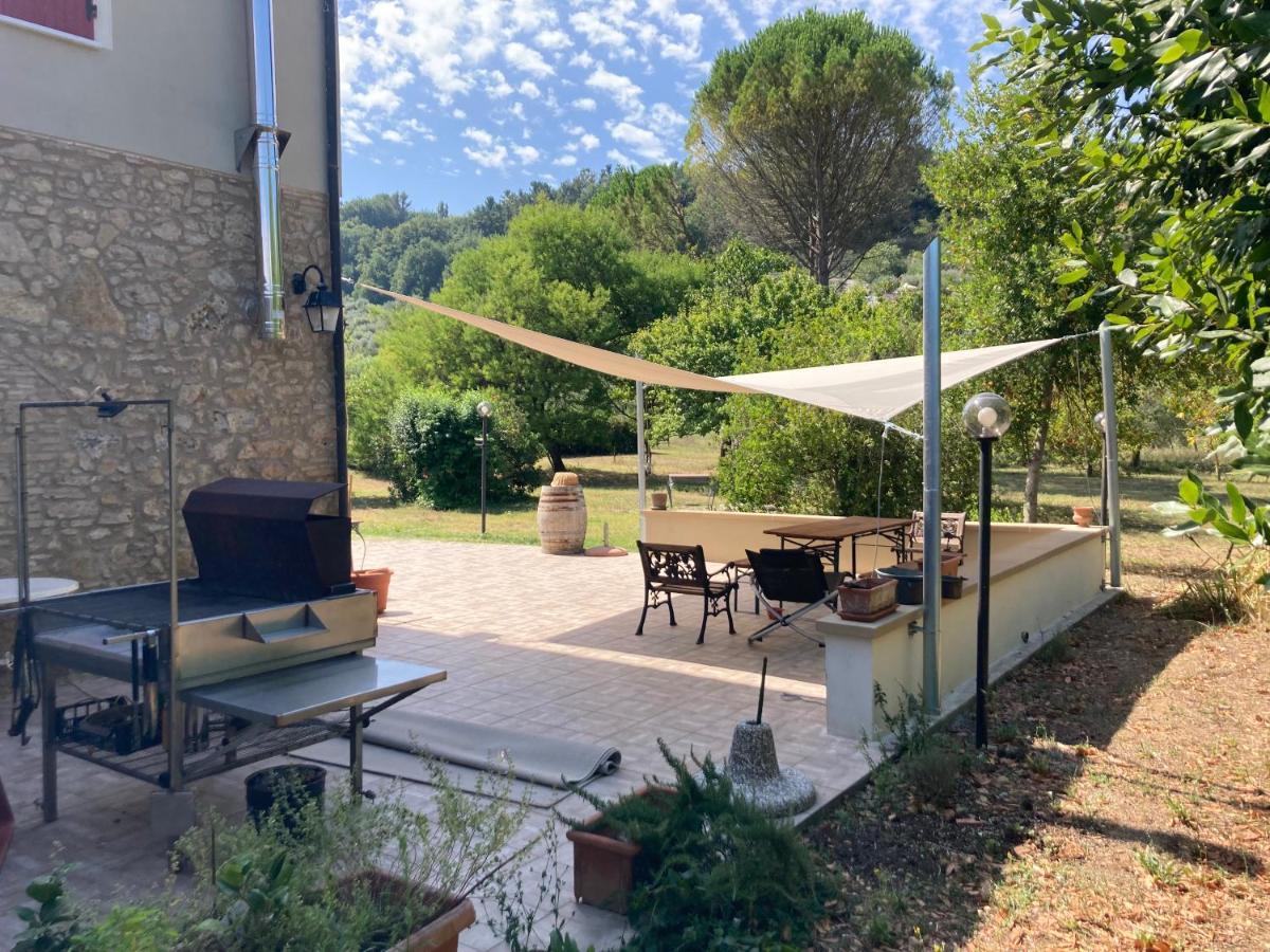 Le Giuncaie - Vigna Con Alloggio Montescudaio Exterior foto