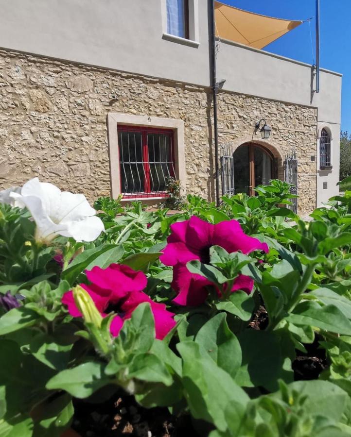 Le Giuncaie - Vigna Con Alloggio Montescudaio Exterior foto