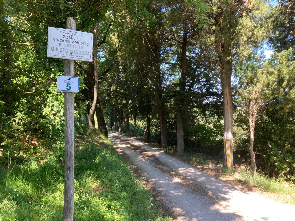 Le Giuncaie - Vigna Con Alloggio Montescudaio Exterior foto