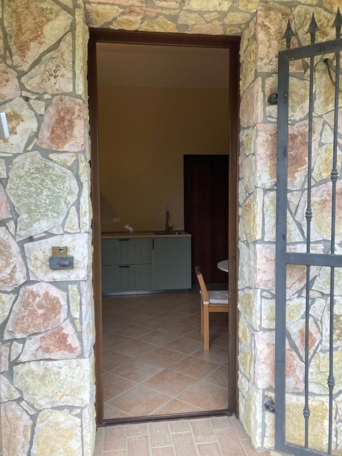 Le Giuncaie - Vigna Con Alloggio Montescudaio Exterior foto